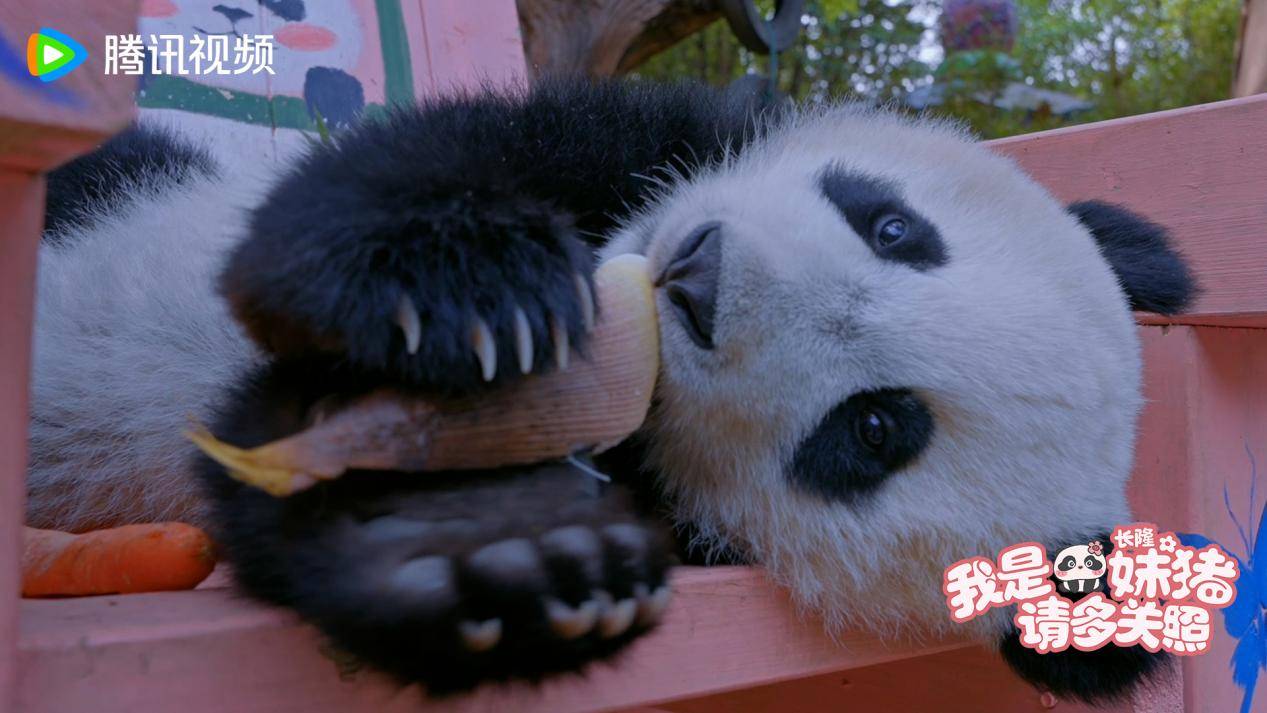 第1张图片