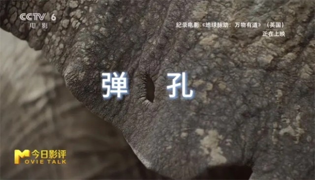 第21张图片