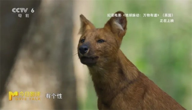 第16张图片