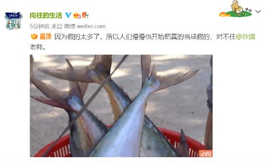 第1張圖片