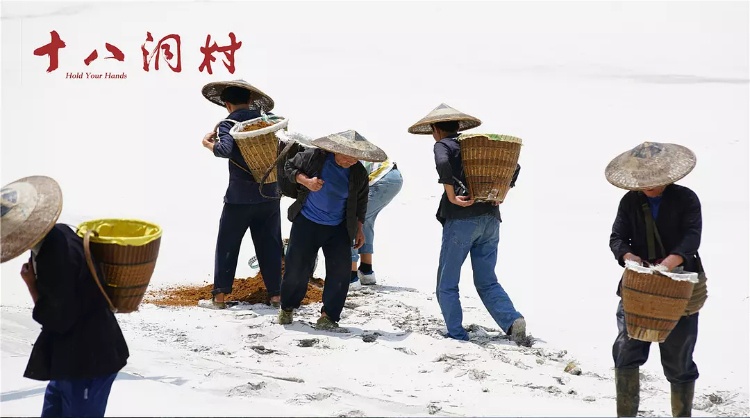 第1张图片