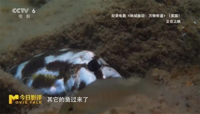 第13张图片