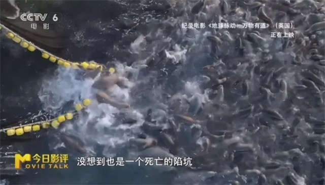 第20张图片