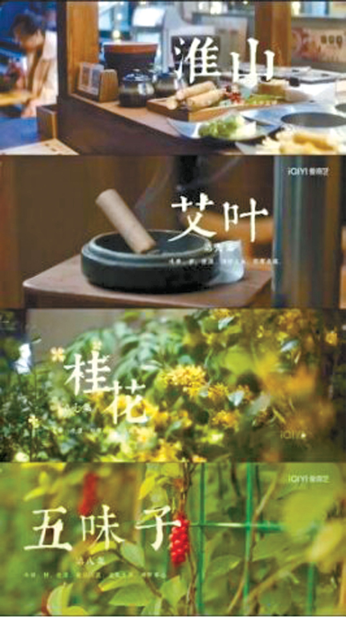 第1張圖片