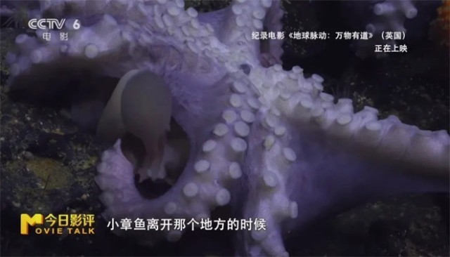 第9张图片