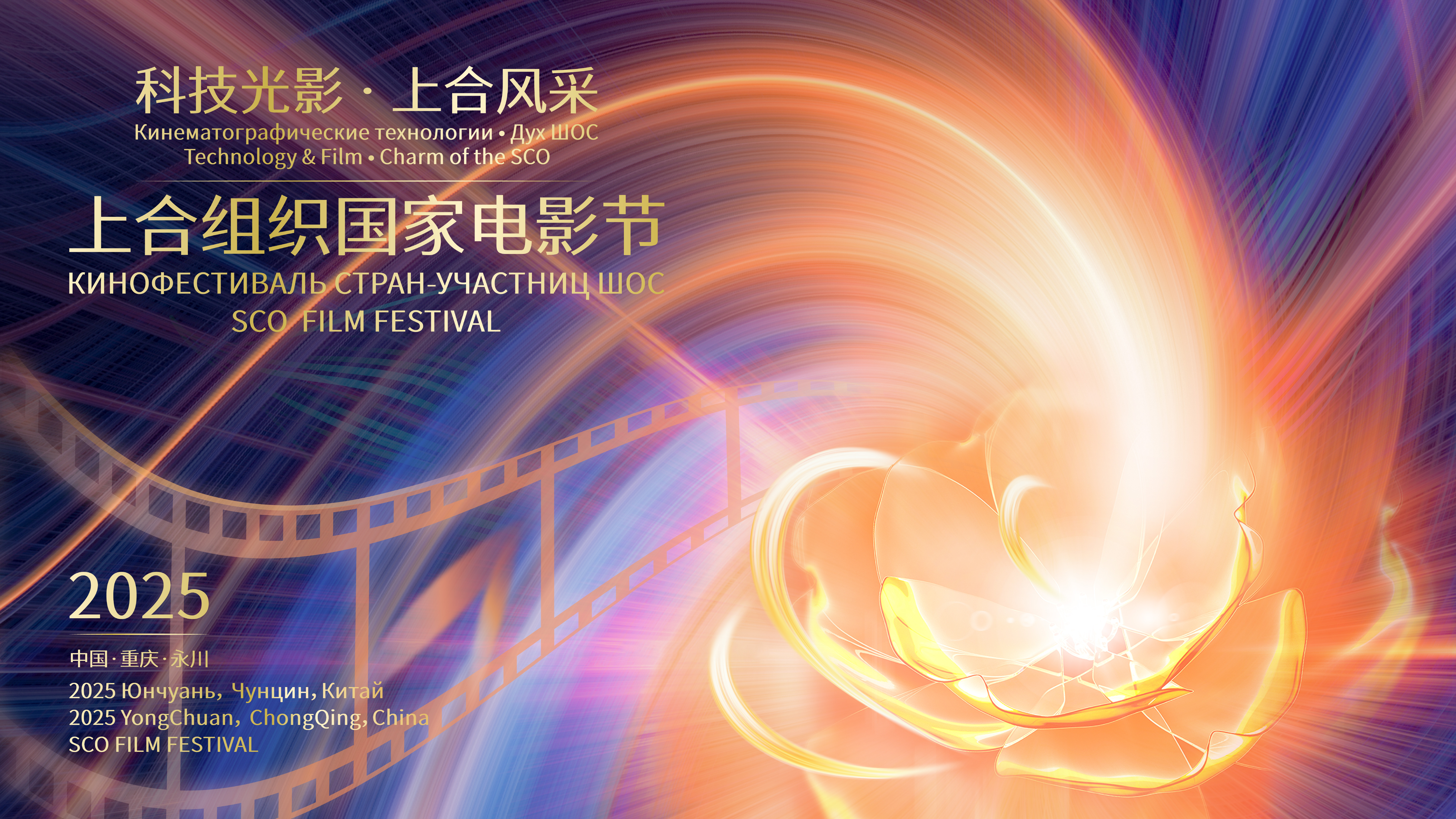 第1张图片