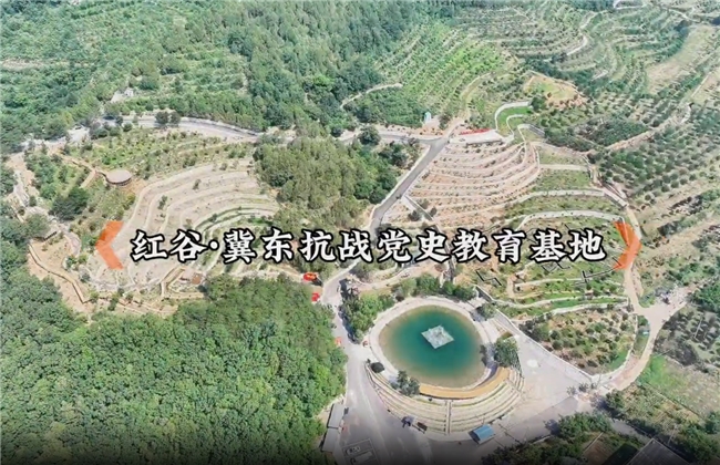 第1张图片