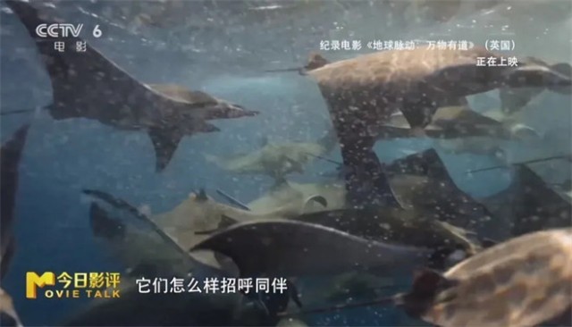 第7张图片