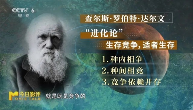 第11张图片