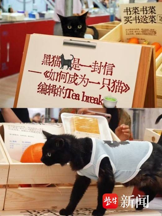 第1張圖片