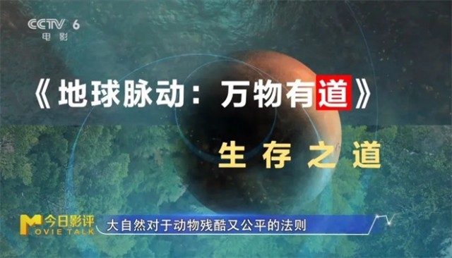 第10张图片