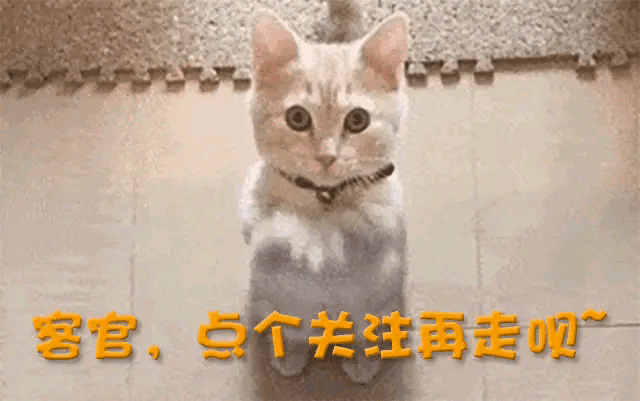 第39张图片