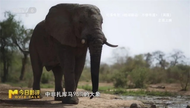 第19张图片
