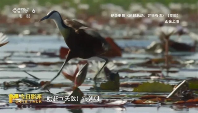 第14张图片