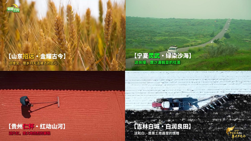 第3张图片