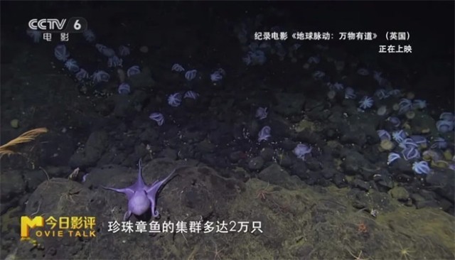 第8张图片