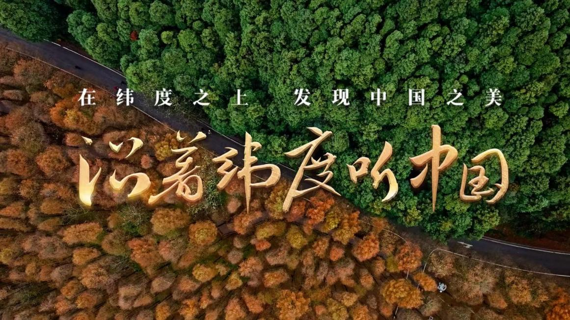 第1張圖片