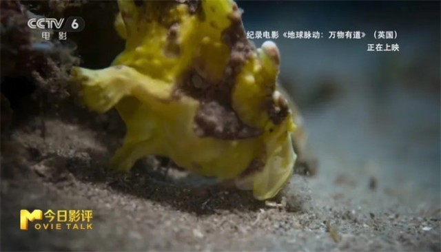 第12张图片