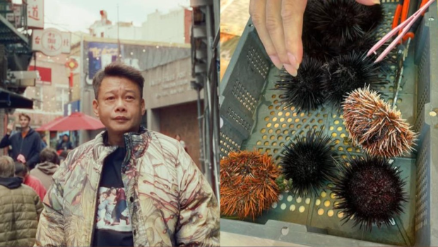 第1张图片