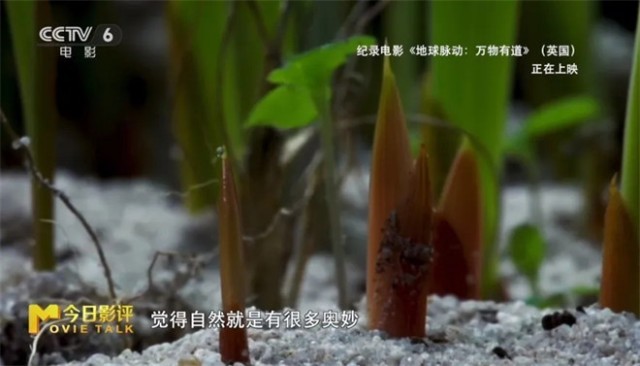 第5张图片