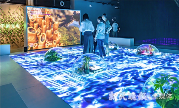 第1张图片