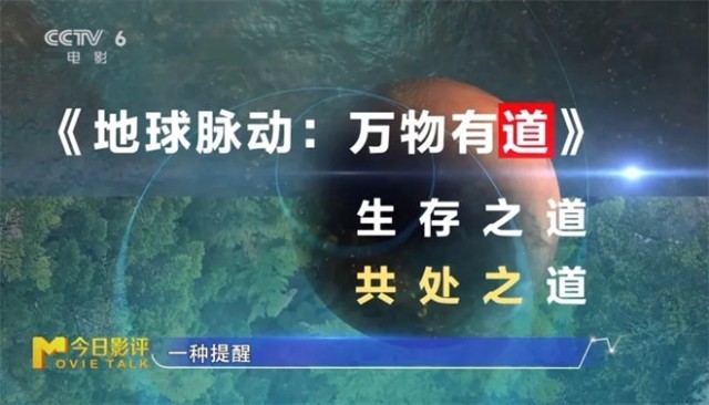第18张图片