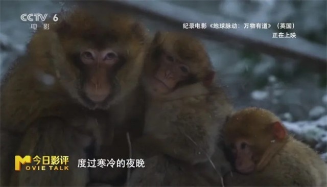 第17张图片