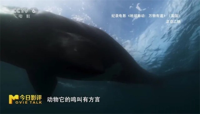 第15张图片